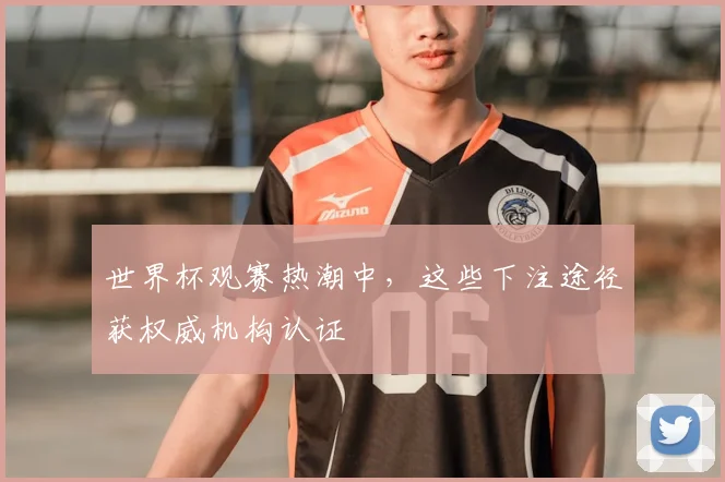 世界杯观赛热潮中，这些下注途径获权威机构认证