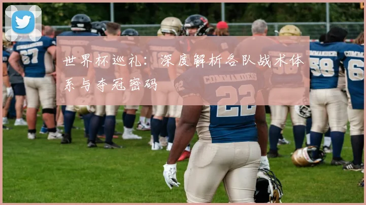 世界杯巡礼：深度解析各队战术体系与夺冠密码